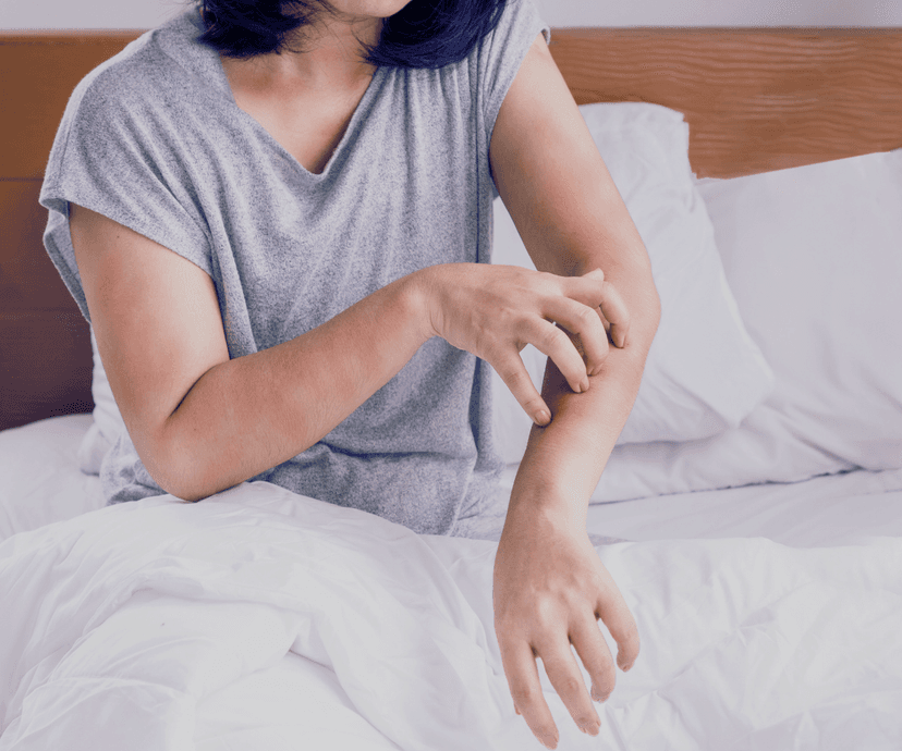 Dust Mite Allergies: What You Need To Know