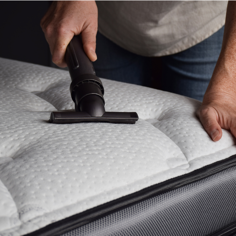 Understanding dust allergies dust allergies