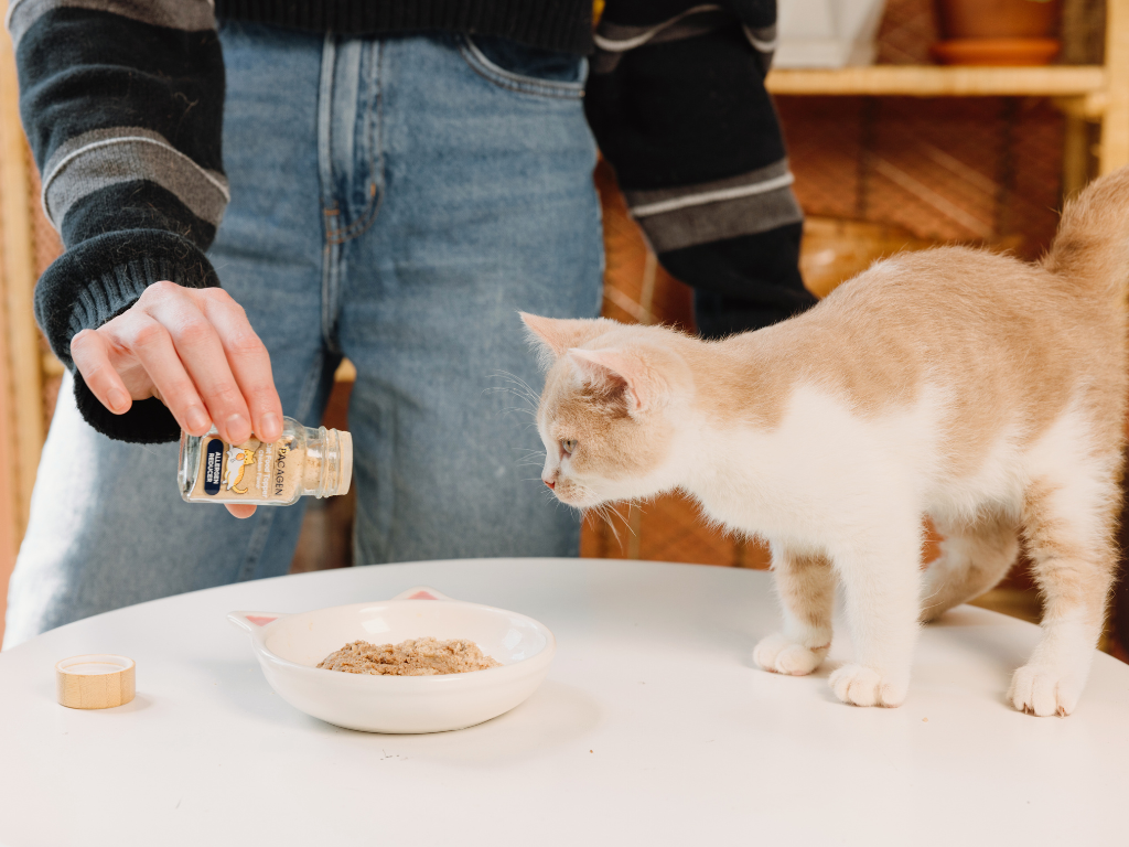 Pacagen Cat Food Topper Pacagen Cat Food Topper